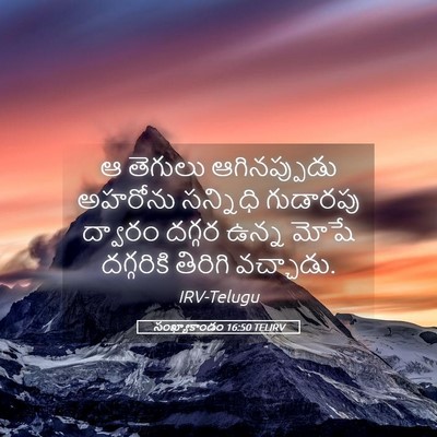 Picture 05 - సంఖ్యాకాండం 16:50 TELIRV - ఆ తెగులు - Bible Verse Picture