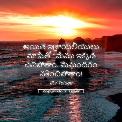Picture 05 - సంఖ్యాకాండం 17:12 TELIRV - అయితే - Bible Verse Picture