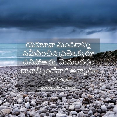 Picture 05 - సంఖ్యాకాండం 17:13 TELIRV - యెహోవా మందిరాన్ని - Bible Verse Picture