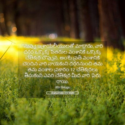 Picture 05 - సంఖ్యాకాండం 17:2 TELIRV - “నువ్వు - Bible Verse Picture