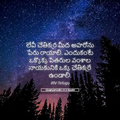 Picture 05 - సంఖ్యాకాండం 17:3 TELIRV - లేవీ చేతికర్ర మీద - Bible Verse Picture