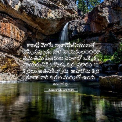 Picture 05 - సంఖ్యాకాండం 17:6 TELIRV - కాబట్టి మోషే - Bible Verse Picture