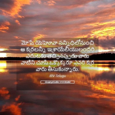 Picture 05 - సంఖ్యాకాండం 17:9 TELIRV - మోషే యెహోవా - Bible Verse Picture