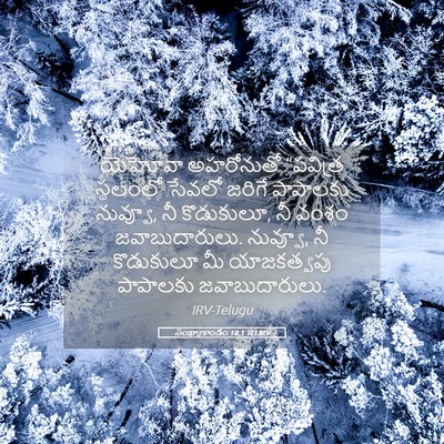 Picture 05 - సంఖ్యాకాండం 18:1 TELIRV - యెహోవా అహరోనుతో - Bible Verse Picture