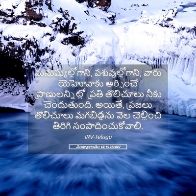 Picture 05 - సంఖ్యాకాండం 18:15 TELIRV - మనుష్యుల్లోగాని, - Bible Verse Picture