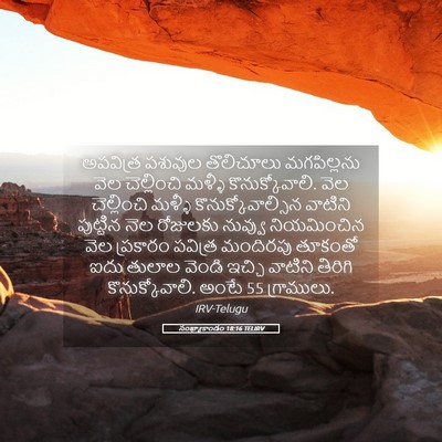 Picture 05 - సంఖ్యాకాండం 18:16 TELIRV - అపవిత్ర పశువుల - Bible Verse Picture