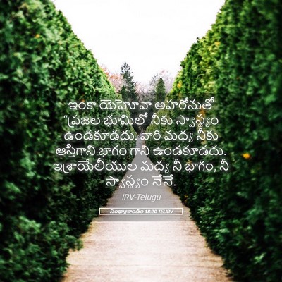 Picture 05 - సంఖ్యాకాండం 18:20 TELIRV - ఇంకా యెహోవా - Bible Verse Picture