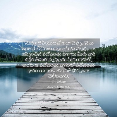 Picture 05 - సంఖ్యాకాండం 18:26 TELIRV - “నువ్వు లేవీయులతో - Bible Verse Picture