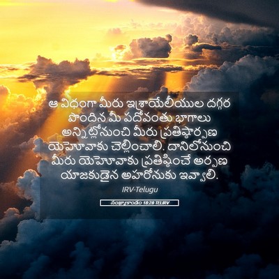 Picture 05 - సంఖ్యాకాండం 18:28 TELIRV - ఆ విధంగా మీరు - Bible Verse Picture
