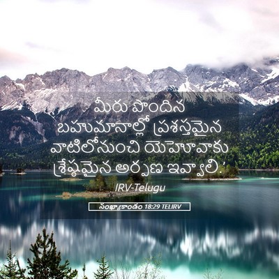 Picture 05 - సంఖ్యాకాండం 18:29 TELIRV - మీరు పొందిన - Bible Verse Picture