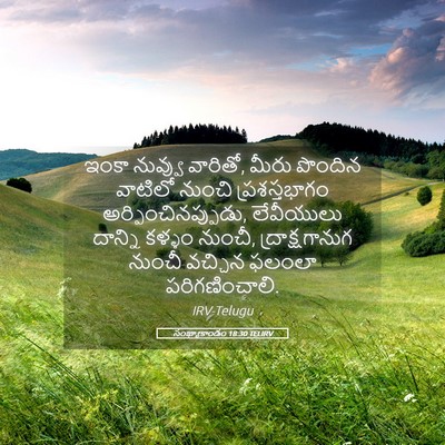 Picture 05 - సంఖ్యాకాండం 18:30 TELIRV - ఇంకా నువ్వు - Bible Verse Picture
