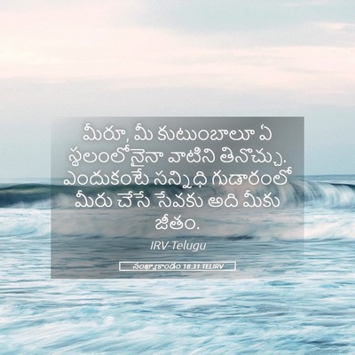 Picture 05 - సంఖ్యాకాండం 18:31 TELIRV - మీరూ, మీ కుటుంబాలూ - Bible Verse Picture