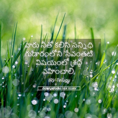 Picture 05 - సంఖ్యాకాండం 18:4 TELIRV - వారు నీతో కలిసి - Bible Verse Picture