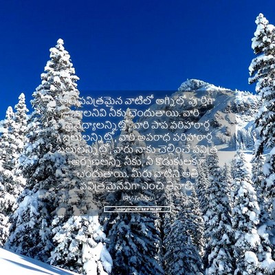 Picture 05 - సంఖ్యాకాండం 18:9 TELIRV - అతి పవిత్రమైన - Bible Verse Picture