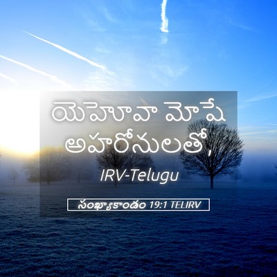 Picture 05 - సంఖ్యాకాండం 19:1 TELIRV - యెహోవా మోషే - Bible Verse Picture