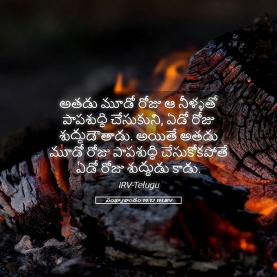 Picture 05 - సంఖ్యాకాండం 19:12 TELIRV - అతడు మూడో రోజు ఆ - Bible Verse Picture