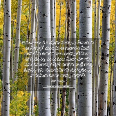 Picture 05 - సంఖ్యాకాండం 19:18 TELIRV - తరువాత ఒక - Bible Verse Picture