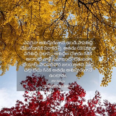 Picture 05 - సంఖ్యాకాండం 19:20 TELIRV - ఎవరైనా - Bible Verse Picture
