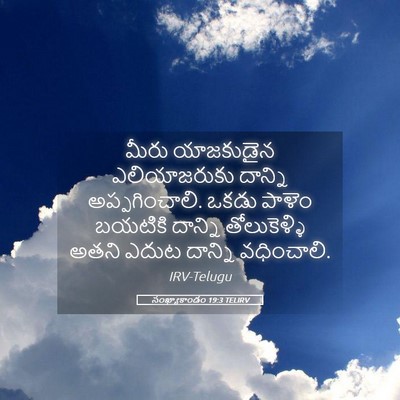 Picture 05 - సంఖ్యాకాండం 19:3 TELIRV - మీరు యాజకుడైన - Bible Verse Picture
