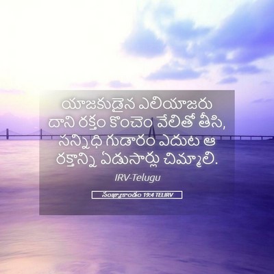 Picture 05 - సంఖ్యాకాండం 19:4 TELIRV - యాజకుడైన ఎలియాజరు - Bible Verse Picture