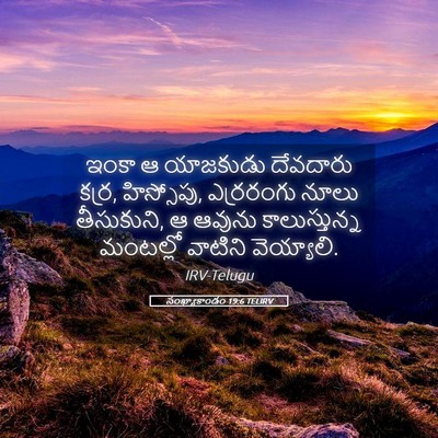 Picture 05 - సంఖ్యాకాండం 19:6 TELIRV - ఇంకా ఆ యాజకుడు - Bible Verse Picture