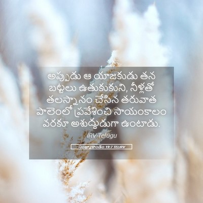 Picture 05 - సంఖ్యాకాండం 19:7 TELIRV - అప్పుడు ఆ యాజకుడు - Bible Verse Picture