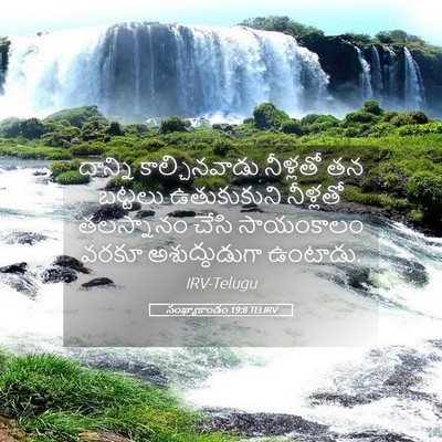 Picture 05 - సంఖ్యాకాండం 19:8 TELIRV - దాన్ని - Bible Verse Picture