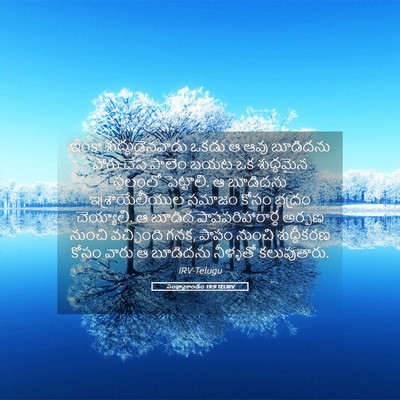 Picture 05 - సంఖ్యాకాండం 19:9 TELIRV - ఇంకా - Bible Verse Picture