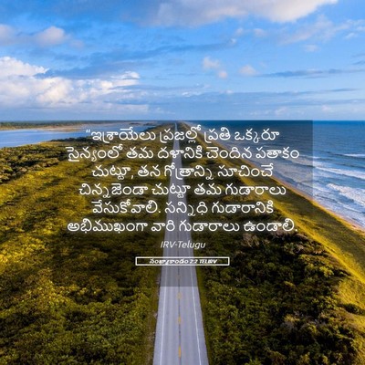 Picture 05 - సంఖ్యాకాండం 2:2 TELIRV - “ఇశ్రాయేలు - Bible Verse Picture