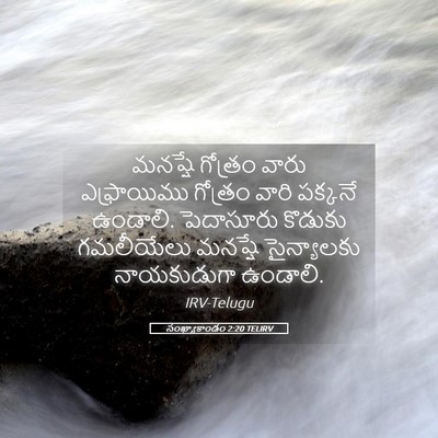 Picture 05 - సంఖ్యాకాండం 2:20 TELIRV - మనష్షే గోత్రం - Bible Verse Picture