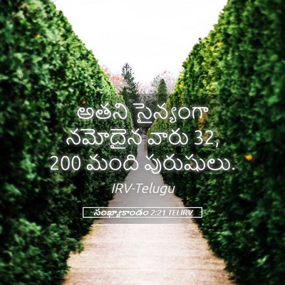 Picture 05 - సంఖ్యాకాండం 2:21 TELIRV - అతని సైన్యంగా - Bible Verse Picture