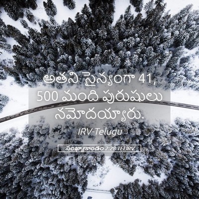 Picture 05 - సంఖ్యాకాండం 2:28 TELIRV - అతని సైన్యంగా 41, 500 - Bible Verse Picture