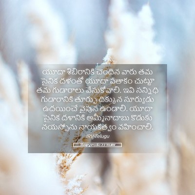 Picture 05 - సంఖ్యాకాండం 2:3 TELIRV - యూదా శిబిరానికి - Bible Verse Picture