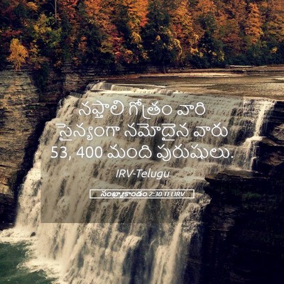 Picture 05 - సంఖ్యాకాండం 2:30 TELIRV - నఫ్తాలి గోత్రం - Bible Verse Picture