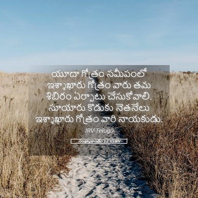 Picture 05 - సంఖ్యాకాండం 2:5 TELIRV - యూదా గోత్రం - Bible Verse Picture
