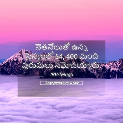 Picture 05 - సంఖ్యాకాండం 2:6 TELIRV - నెతనేలుతో ఉన్న - Bible Verse Picture