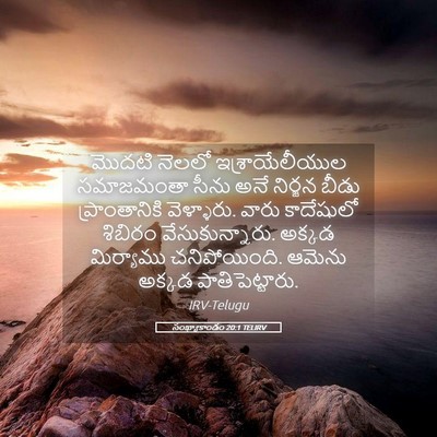 Picture 05 - సంఖ్యాకాండం 20:1 TELIRV - మొదటి నెలలో - Bible Verse Picture