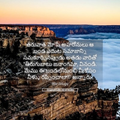 Picture 05 - సంఖ్యాకాండం 20:10 TELIRV - తరువాత మోషే - Bible Verse Picture