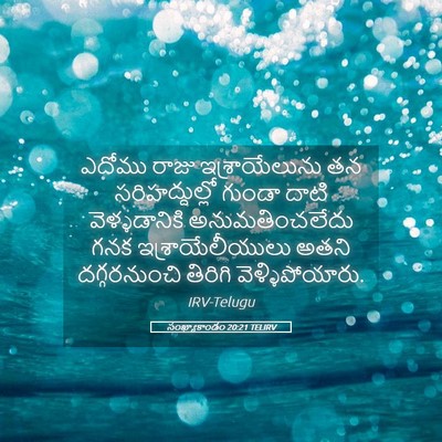 Picture 05 - సంఖ్యాకాండం 20:21 TELIRV - ఎదోము రాజు - Bible Verse Picture