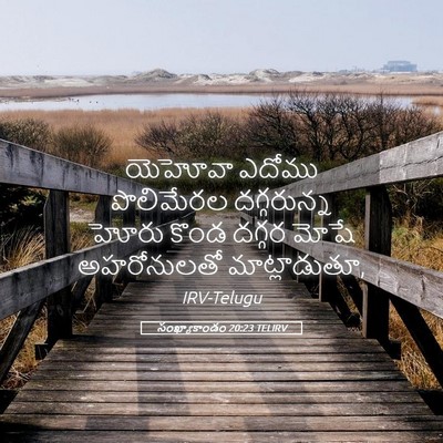 Picture 05 - సంఖ్యాకాండం 20:23 TELIRV - యెహోవా ఎదోము - Bible Verse Picture