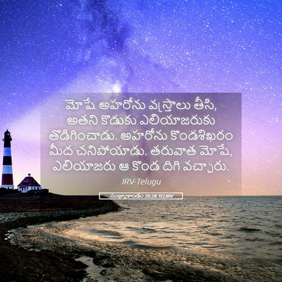 Picture 05 - సంఖ్యాకాండం 20:28 TELIRV - మోషే అహరోను - Bible Verse Picture