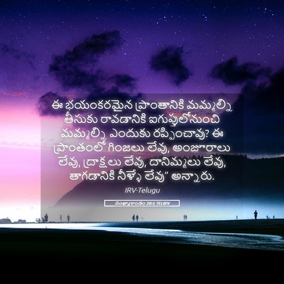 Picture 05 - సంఖ్యాకాండం 20:5 TELIRV - ఈ భయంకరమైన - Bible Verse Picture