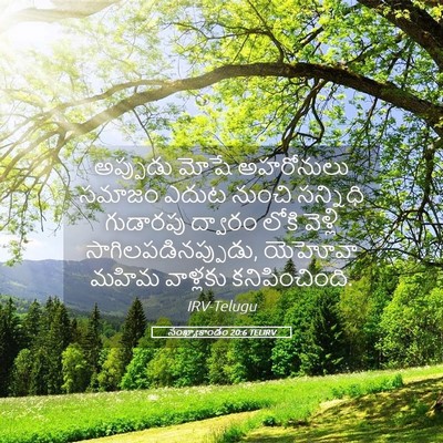 Picture 05 - సంఖ్యాకాండం 20:6 TELIRV - అప్పుడు మోషే - Bible Verse Picture