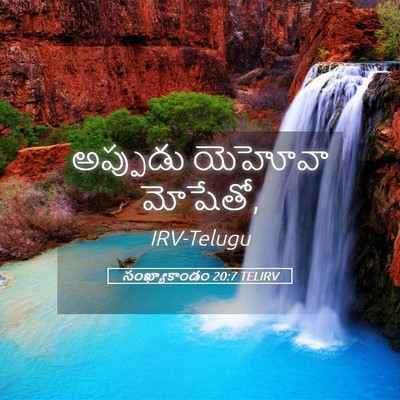 Picture 05 - సంఖ్యాకాండం 20:7 TELIRV - అప్పుడు యెహోవా - Bible Verse Picture