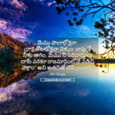 Picture 05 - సంఖ్యాకాండం 21:22 TELIRV - మేము - Bible Verse Picture