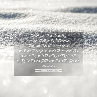 Picture 05 - సంఖ్యాకాండం 21:28 TELIRV - హెష్బోను నుంచి - Bible Verse Picture