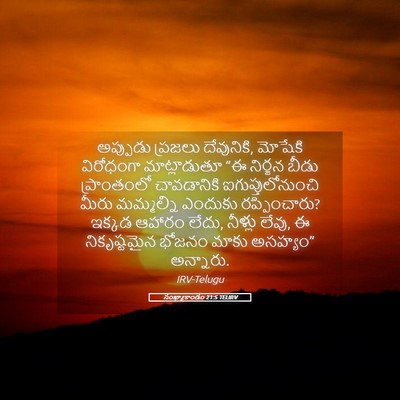 Picture 05 - సంఖ్యాకాండం 21:5 TELIRV - అప్పుడు ప్రజలు - Bible Verse Picture
