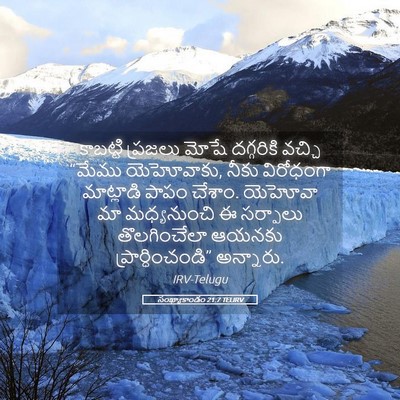 Picture 05 - సంఖ్యాకాండం 21:7 TELIRV - కాబట్టి ప్రజలు - Bible Verse Picture