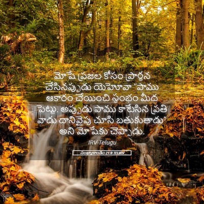 Picture 05 - సంఖ్యాకాండం 21:8 TELIRV - మోషే ప్రజల కోసం - Bible Verse Picture