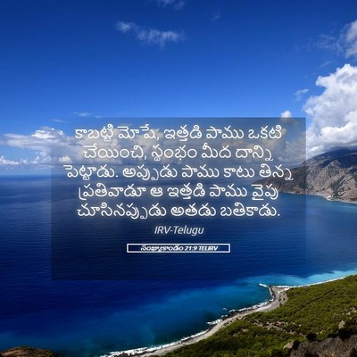 Picture 05 - సంఖ్యాకాండం 21:9 TELIRV - కాబట్టి మోషే, - Bible Verse Picture